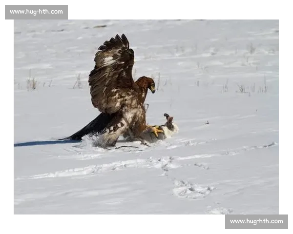 拉齐奥正式驱逐前训鹰师：露骨视频丑闻后终场法律拉锯战